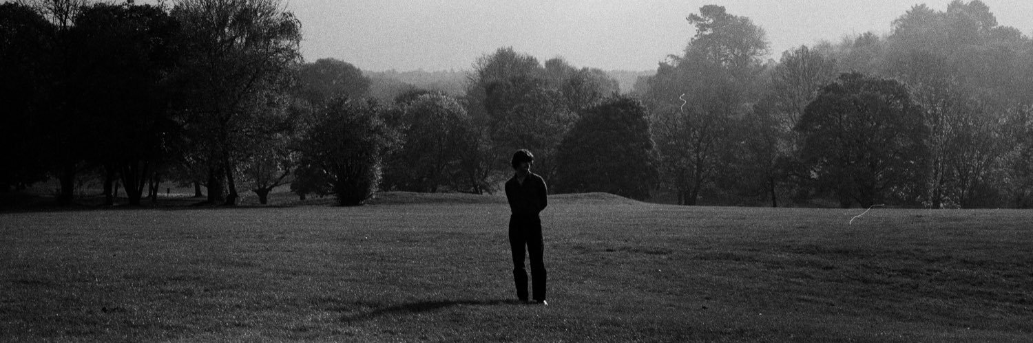 Current Foxes banner