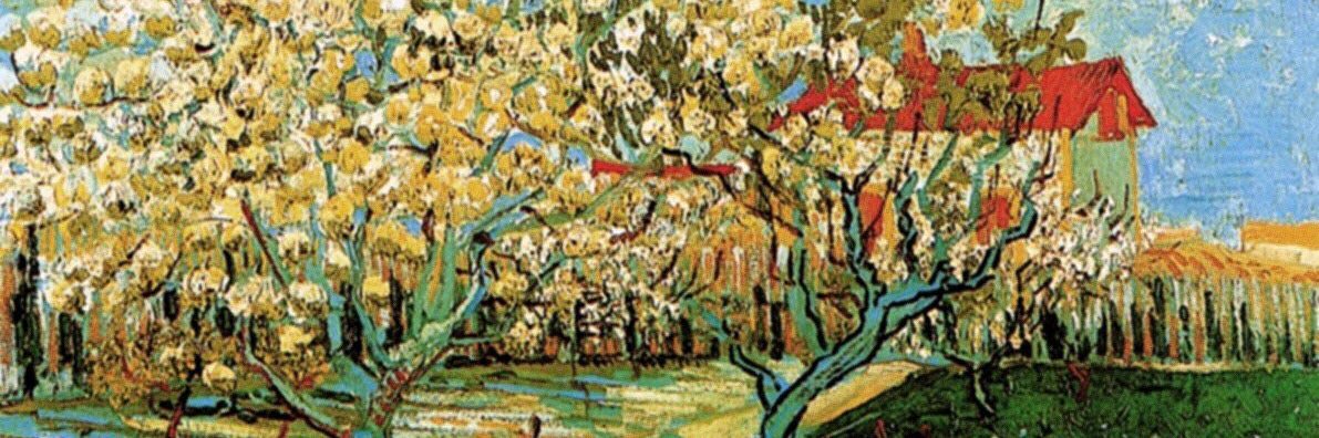 Cosmicblocks 🪐 banner