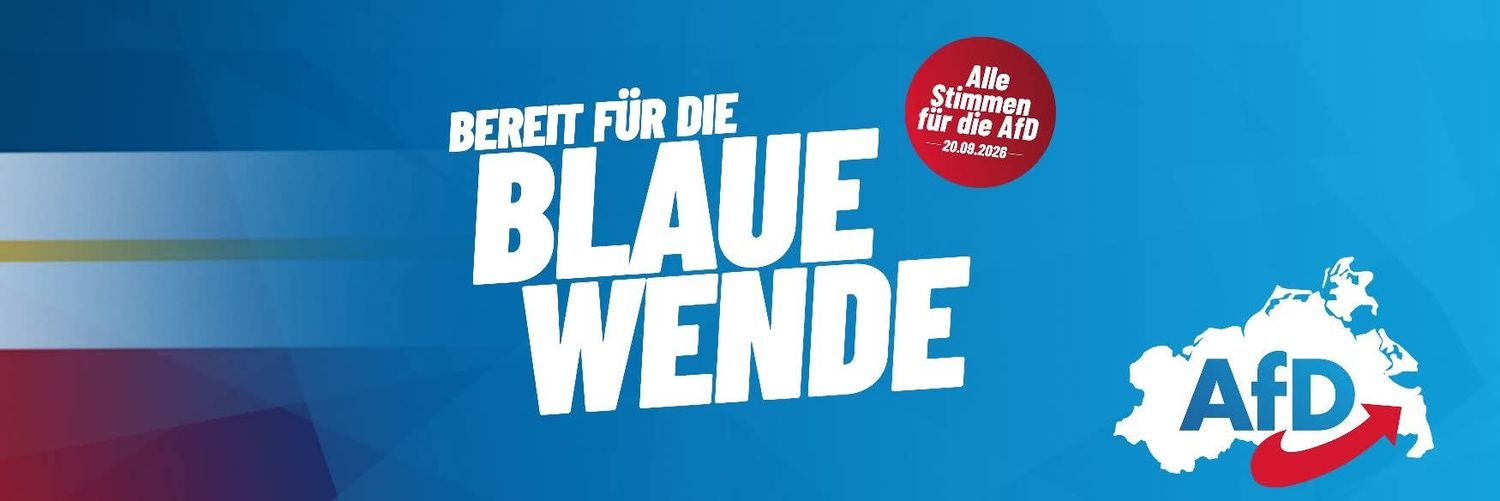 AfD MV banner