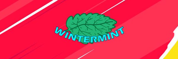 WintermintVLR Profile Banner
