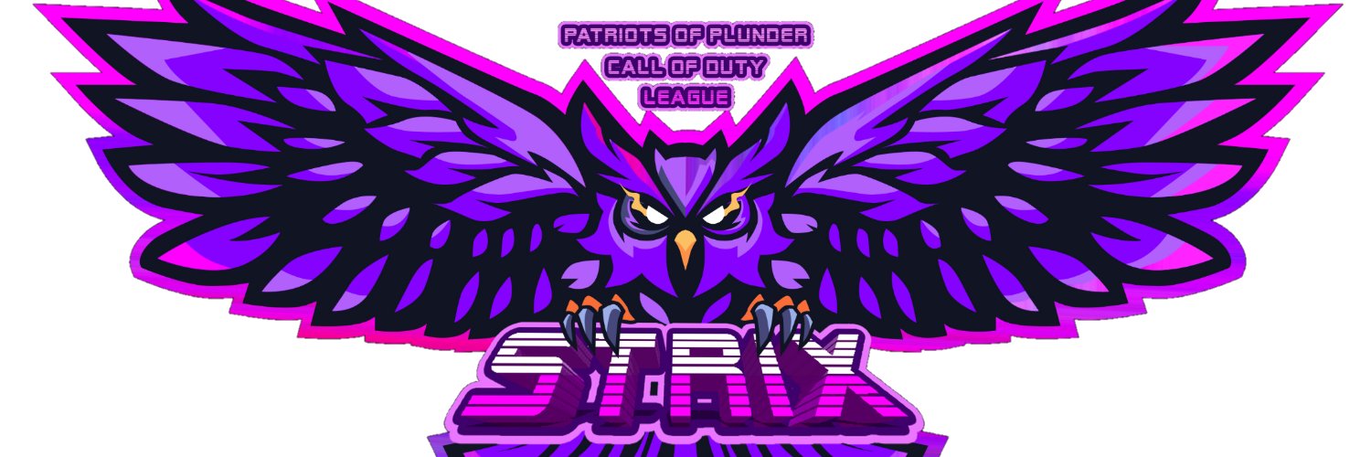 StrixUSA2020's profile banner image