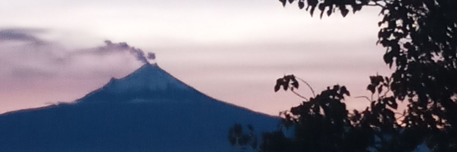 Walter García Trejo banner