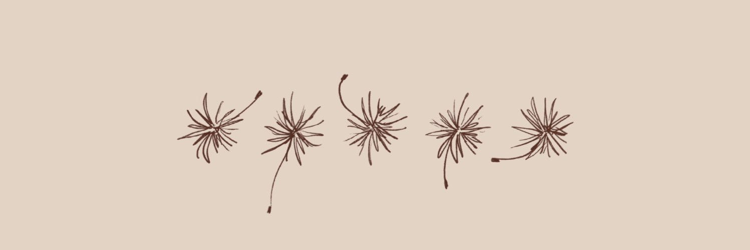 lvsrua's profile banner image