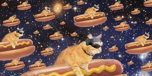 AmbandCheese's profile banner image