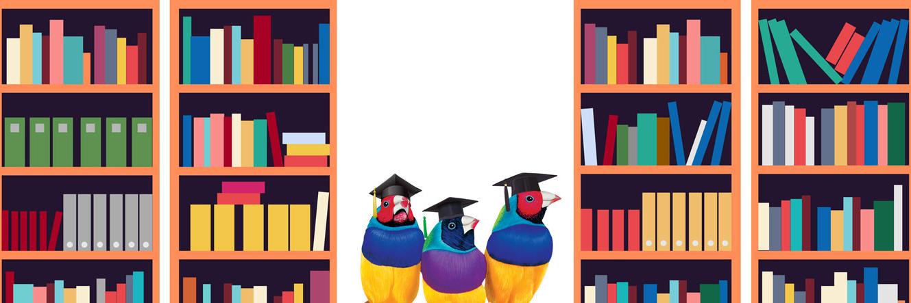 ViewSonic Latam banner