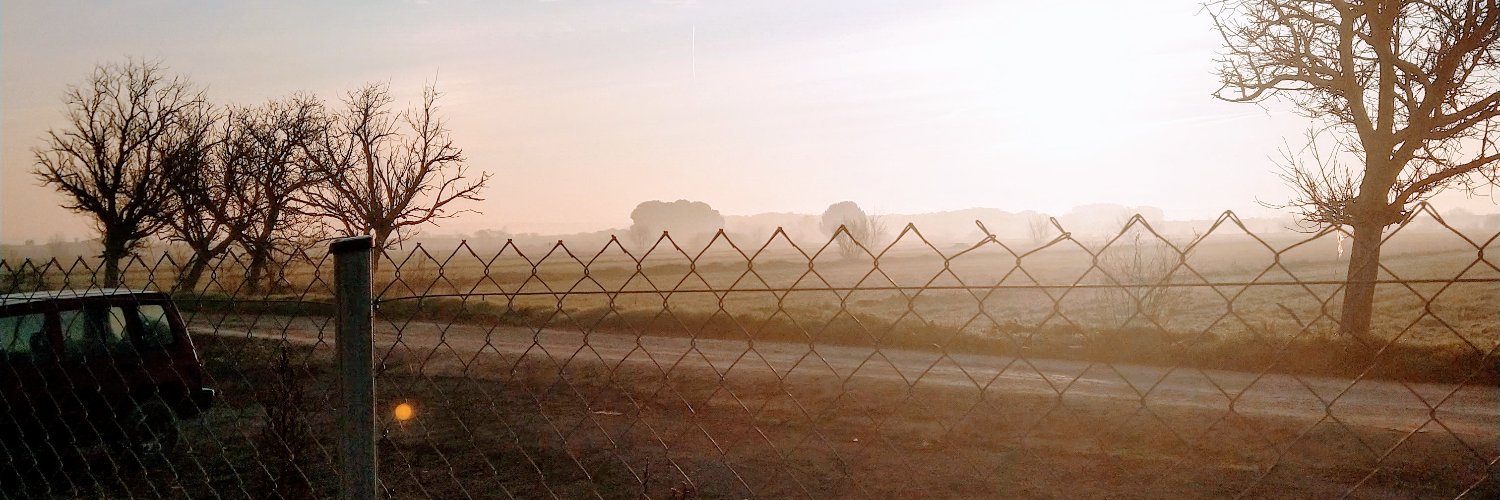 vanerela's profile banner image