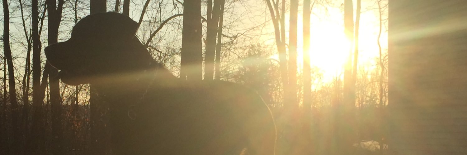 morgsss7's profile banner image