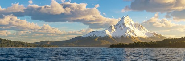 altoshi0x Profile Banner