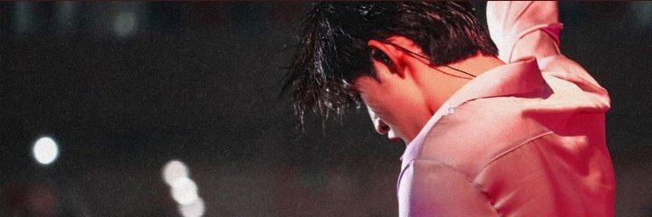 S.Coups banner