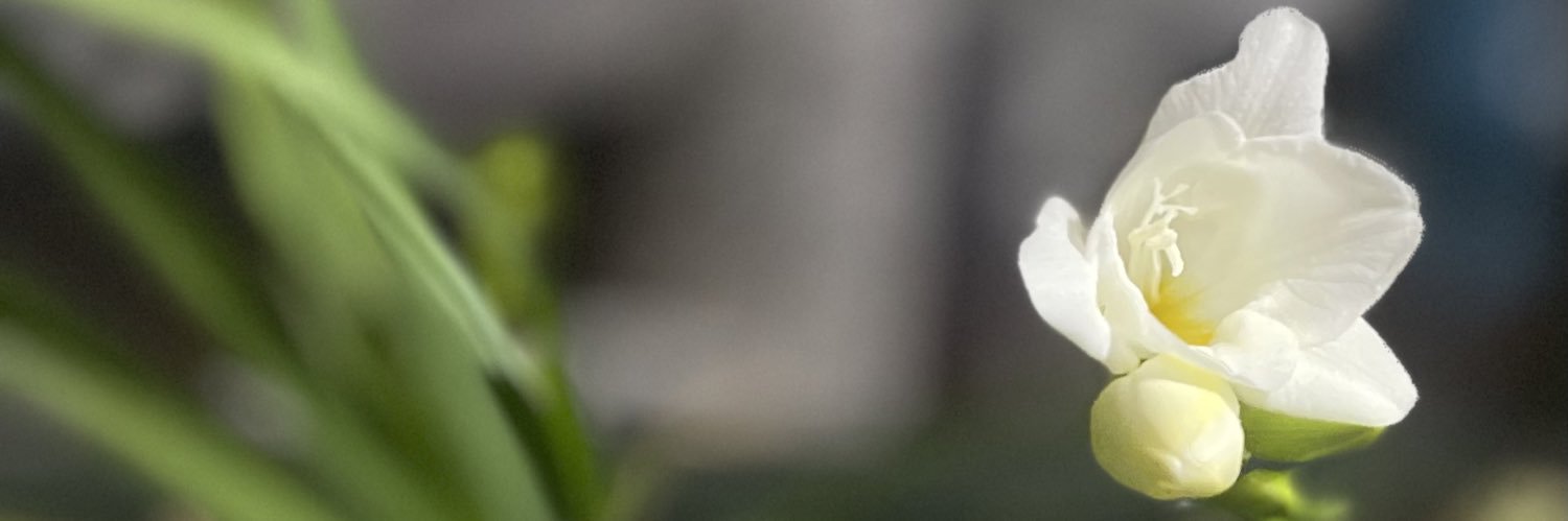 antoleto07's profile banner image
