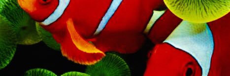AMESCOone's profile banner image