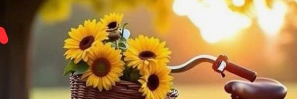 Se_Nn57298 Profile Banner