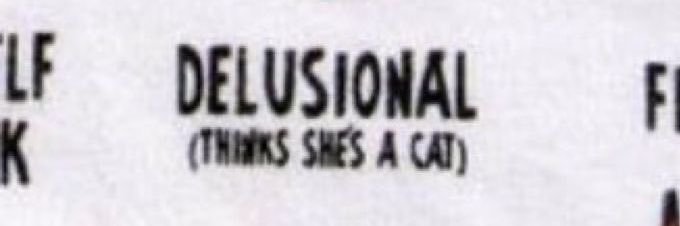 Yarin 🐈‍⬛ banner