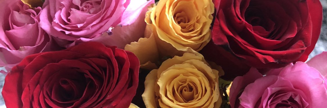 annabrie_'s profile banner image