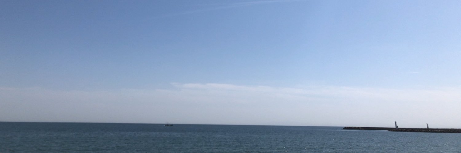橋爪美真 banner