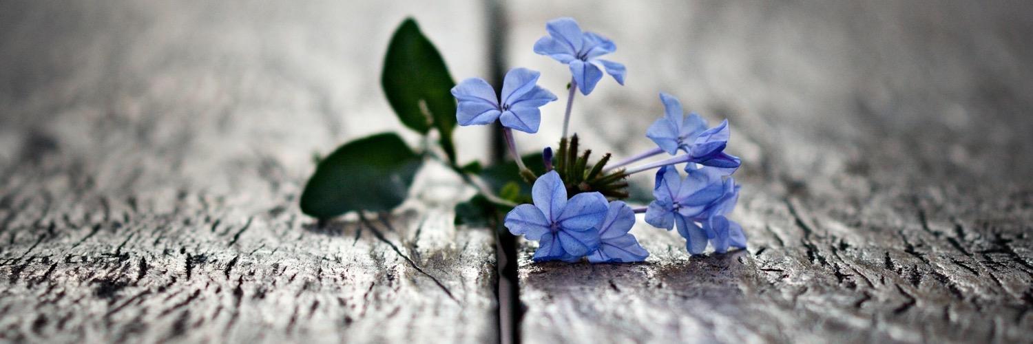1094739811's profile banner image