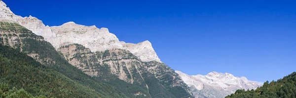 FrancescDosrius Profile Banner