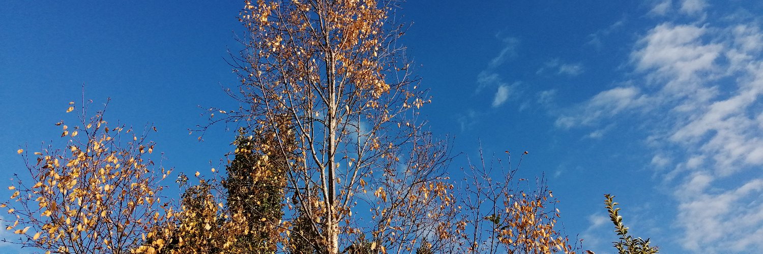 AlicjaMccloskey's profile banner image