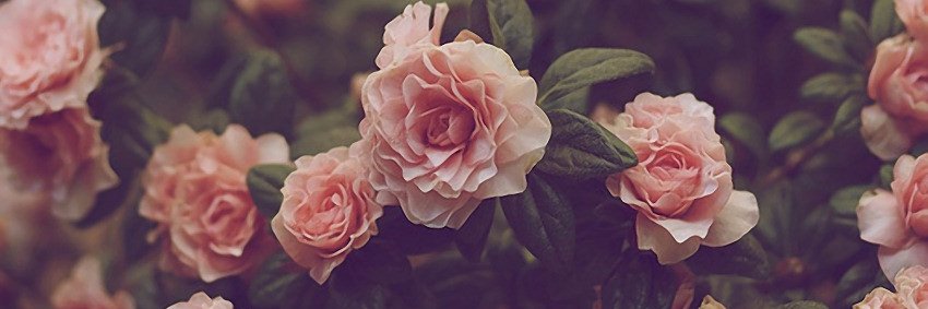 _katiehernandez's profile banner image