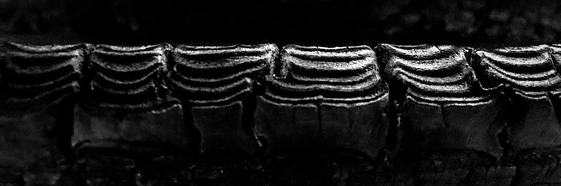 BlackAtlasNFT banner