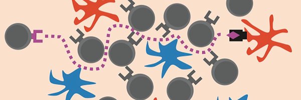 FilippLab Profile Banner