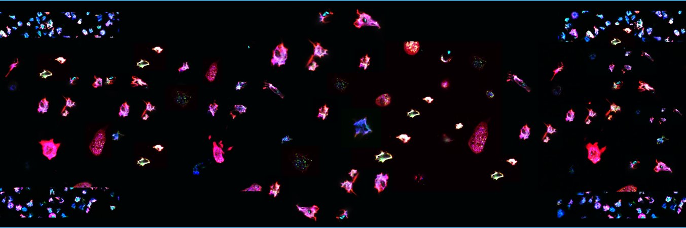 Sylvana Victoria Hüttel banner