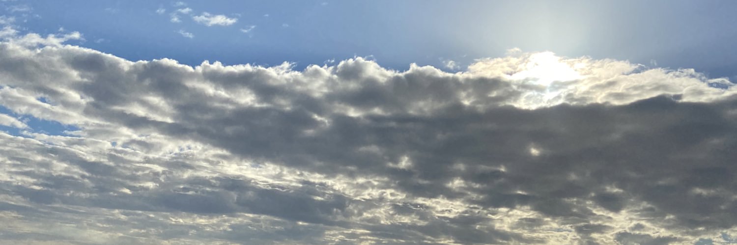taro🦖 banner