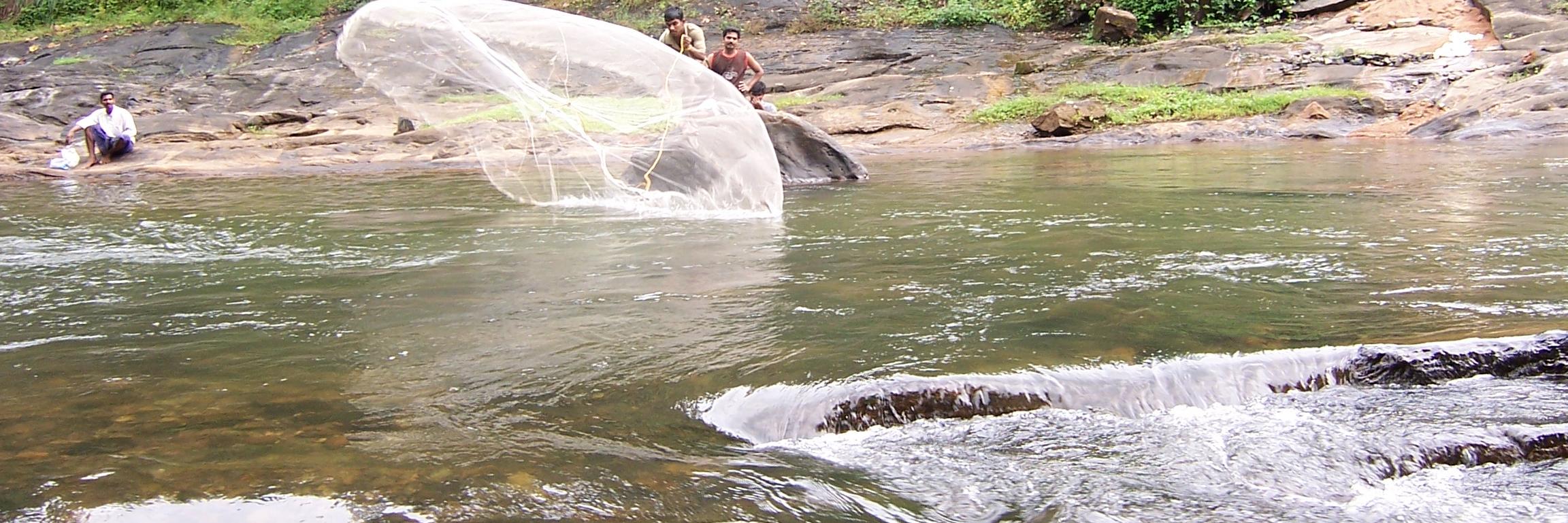 Rajeev_Fish's profile banner image