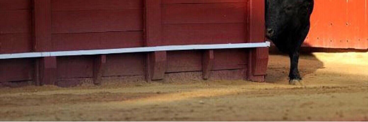 PAN y TOROS. banner