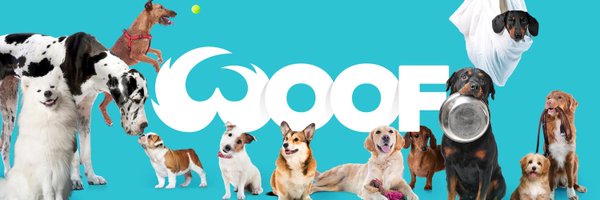 WoofWoof_TV Profile Banner