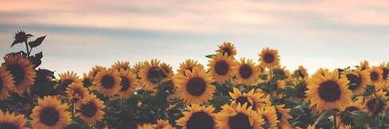 shaepro's profile banner image