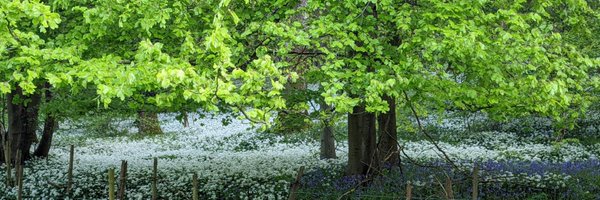 DanielMaddock6 Profile Banner