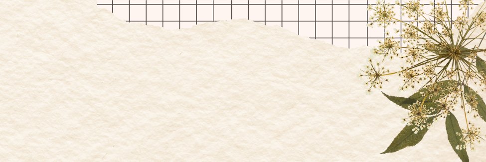 Vintage Pixie Press banner