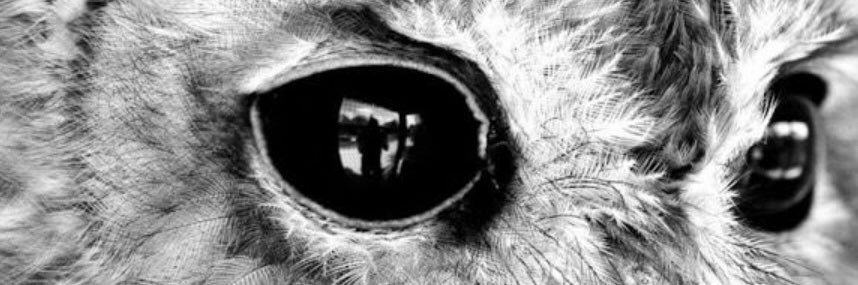 gloom505's profile banner image