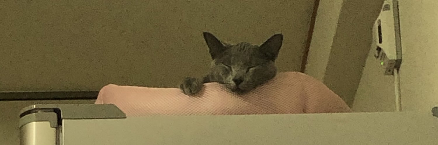 umewakka's profile banner image