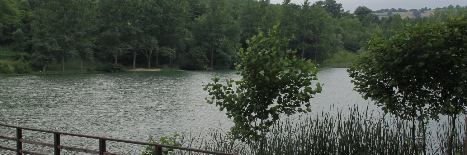 rangoyayla's profile banner image