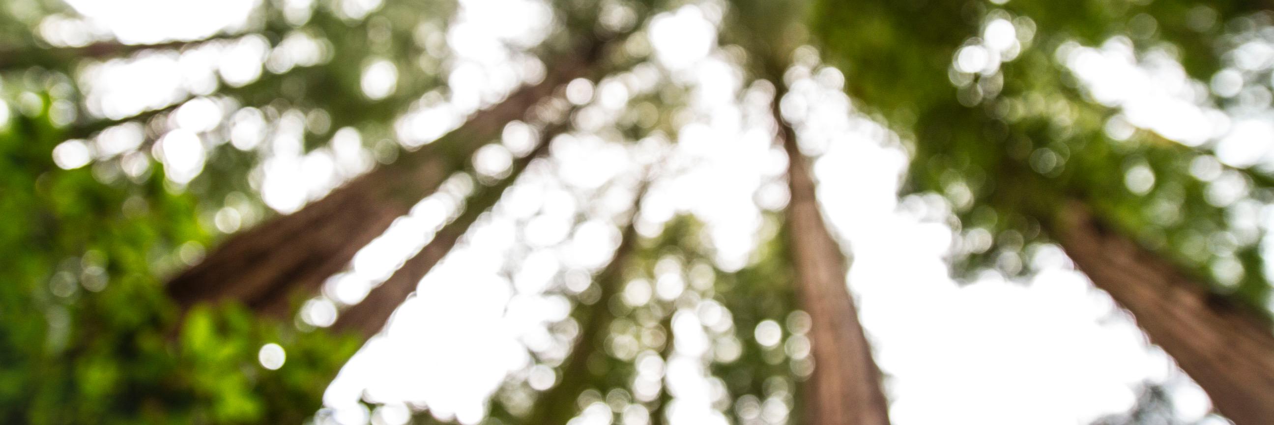 lamarcable's profile banner image