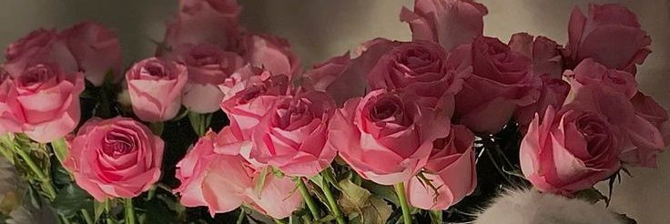 🥀لؤلؤة's banner