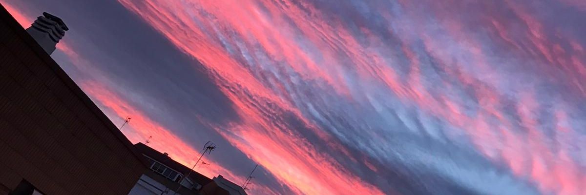 irisfides's profile banner image