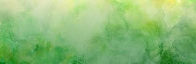 Rida Suresh banner