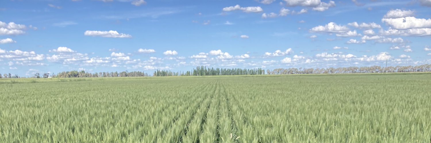 Charlie French banner