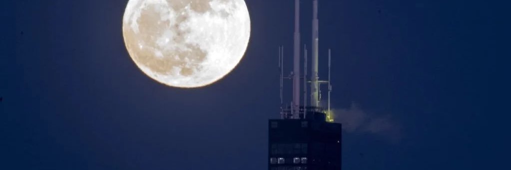 Grounded Guru 🛸 banner