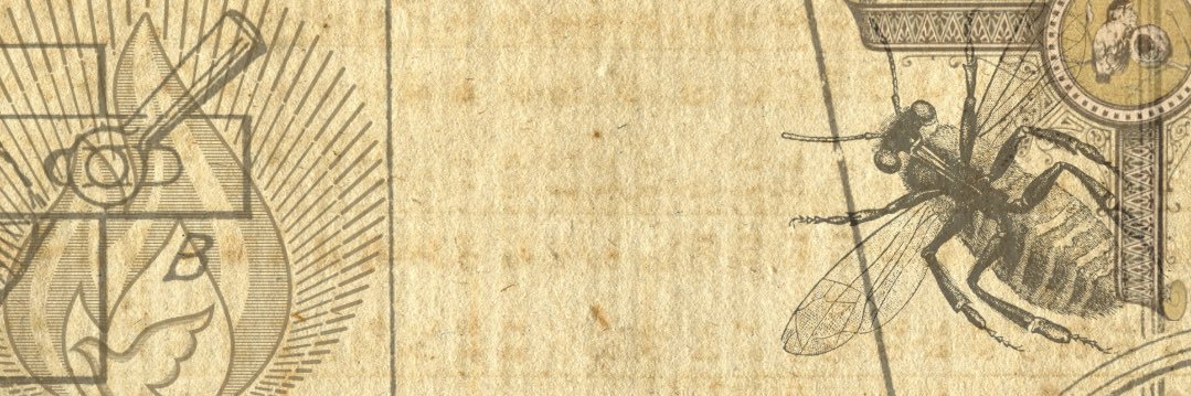 joel khouri banner