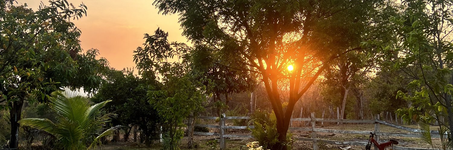 anetteesc's profile banner image