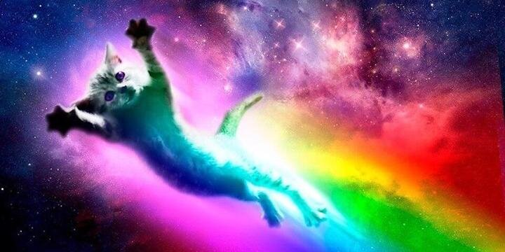 deadybunny's profile banner image