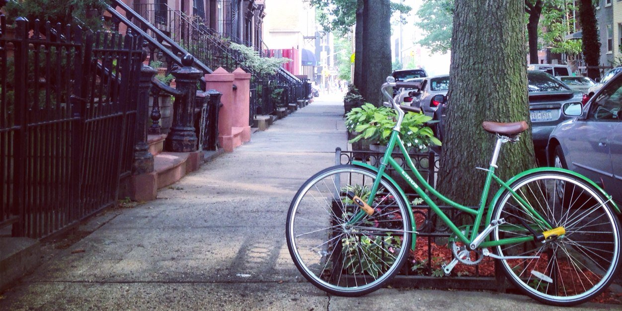 Meredith Deliso banner