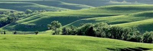 LastonSlappy Profile Banner