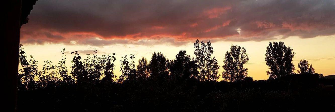 claudibu9's profile banner image