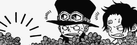 DelphineLcrx's profile banner image