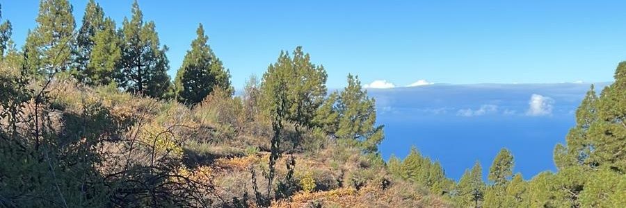 AnaGorettiHern1's profile banner image